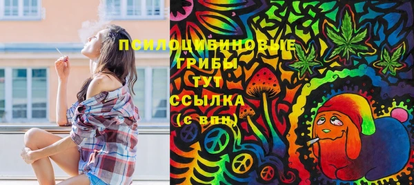 дмт Верея