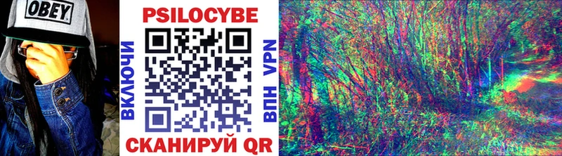 Псилоцибиновые грибы ЛСД Сосновый Бор