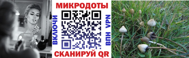 Галлюциногенные грибы мухоморы  Сосновый Бор 